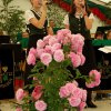 festsonntag_3_20150209_1676725934
