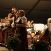 musikfest-umzug_und_gaudiabend_2014_36_20150209_1348630399