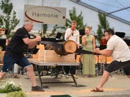 Musikfest Samstag