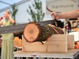 Musikfest Samstag